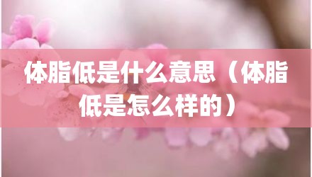 体脂低是什么意思（体脂低是怎么样的）