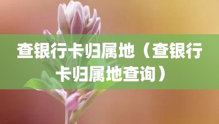 查银行卡归属地（查银行卡归属地查询）