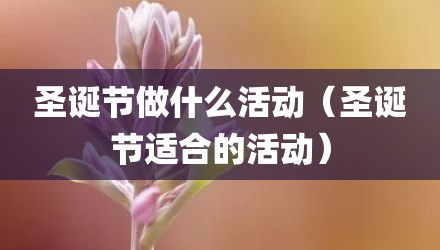 圣诞节做什么活动（圣诞节适合的活动）