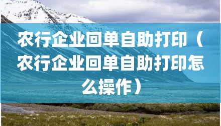 农行企业回单自助打印（农行企业回单自助打印怎么操作）