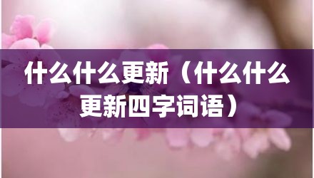 什么什么更新（什么什么更新四字词语）