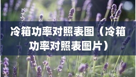 冷箱功率对照表图（冷箱功率对照表图片）
