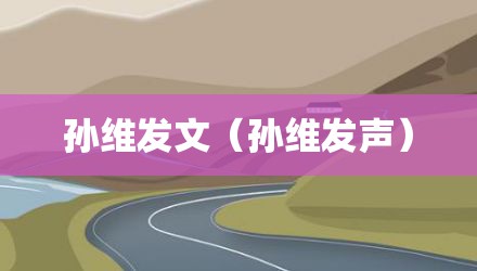 孙维发文（孙维发声）