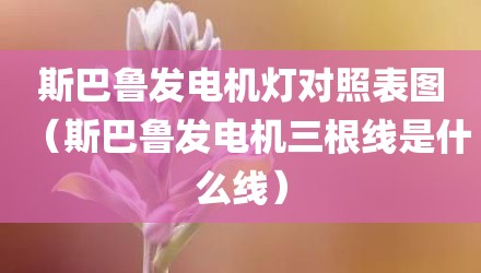 斯巴鲁发电机灯对照表图（斯巴鲁发电机三根线是什么线）