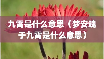 九霄是什么意思（梦安魂于九霄是什么意思）