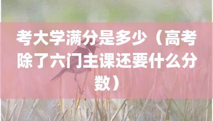 考大学满分是多少（高考除了六门主课还要什么分数）