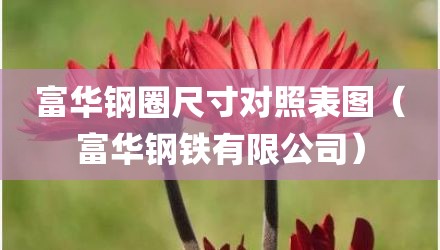 富华钢圈尺寸对照表图（富华钢铁有限公司）
