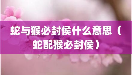 蛇与猴必封侯什么意思（蛇配猴必封侯）