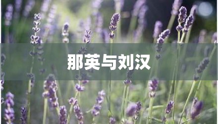 那英与刘汉