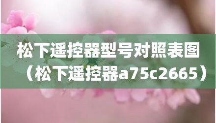 松下遥控器型号对照表图（松下遥控器a75c2665）