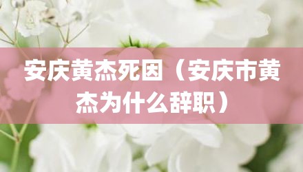 安庆黄杰死因（安庆市黄杰为什么辞职）