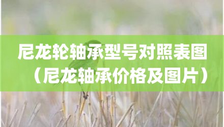 尼龙轮轴承型号对照表图（尼龙轴承价格及图片）
