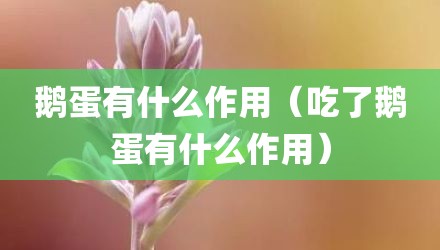 鹅蛋有什么作用（吃了鹅蛋有什么作用）
