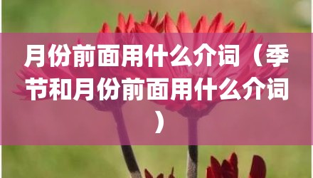 月份前面用什么介词（季节和月份前面用什么介词）
