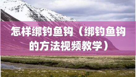 怎样绑钓鱼钩（绑钓鱼钩的方法视频教学）