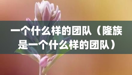 一个什么样的团队（隆族是一个什么样的团队）