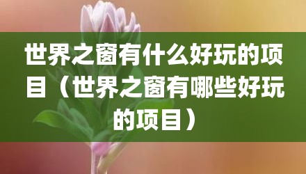 世界之窗有什么好玩的项目（世界之窗有哪些好玩的项目）