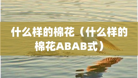什么样的棉花（什么样的棉花ABAB式）