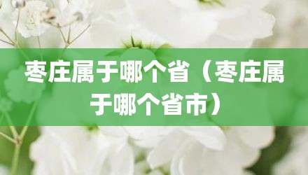 枣庄属于哪个省（枣庄属于哪个省市）