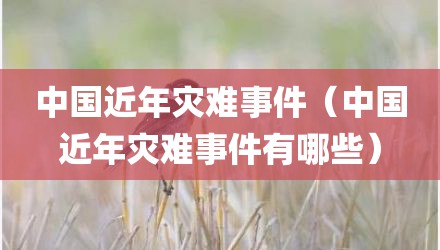 中国近年灾难事件（中国近年灾难事件有哪些）