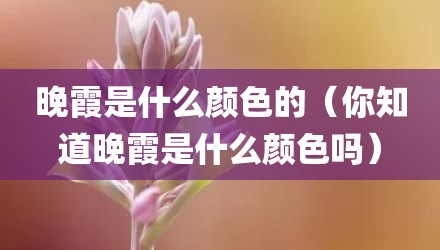 晚霞是什么颜色的（你知道晚霞是什么颜色吗）