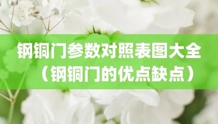 钢铜门参数对照表图大全（钢铜门的优点缺点）