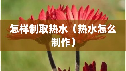 怎样制取热水（热水怎么制作）