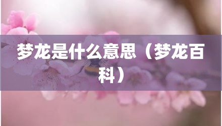 梦龙是什么意思（梦龙百科）