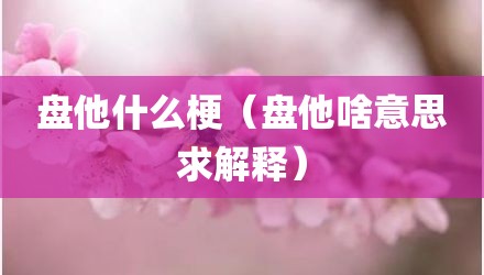盘他什么梗（盘他啥意思求解释）