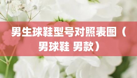 男生球鞋型号对照表图（男球鞋 男款）