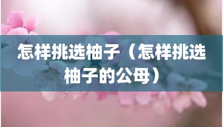 怎样挑选柚子(怎样挑选柚子的公母)