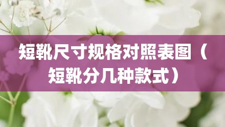 短靴尺寸规格对照表图(短靴分几种款式)
