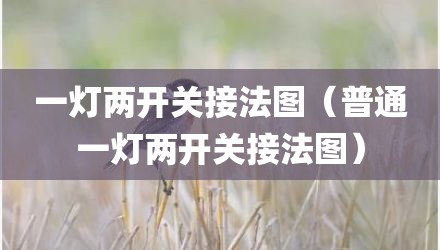 一灯两开关接法图(普通一灯两开关接法图)
