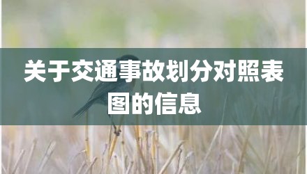 关于交通事故划分对照表图的信息