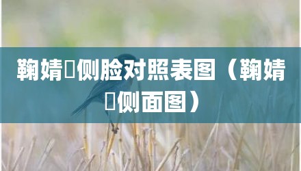 鞠婧祎侧脸对照表图（鞠婧祎侧面图）