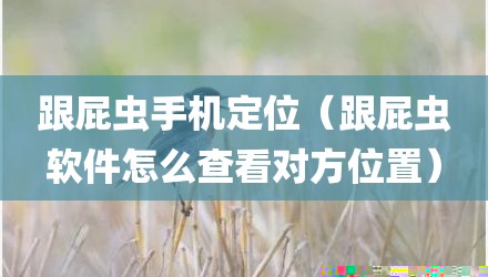 跟屁虫手机定位（跟屁虫软件怎么查看对方位置）