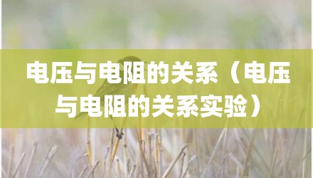 电压与电阻的关系（电压与电阻的关系实验）