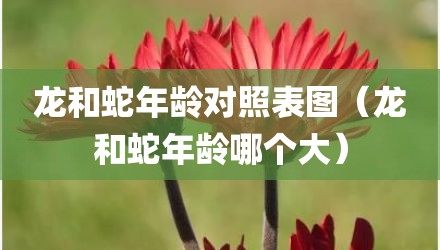 龙和蛇年龄对照表图(龙和蛇年龄哪个大)