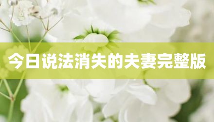 今日说法消失的夫妻完整版