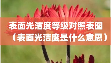 表面光洁度等级对照表图(表面光洁度是什么意思)