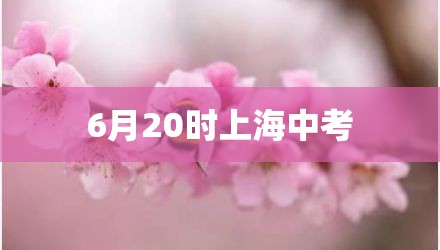 6月20时上海中考