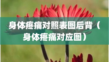 身体疼痛对照表图后背（身体疼痛对应图）