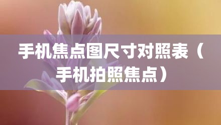手机焦点图尺寸对照表（手机拍照焦点）