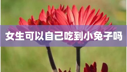 女生可以自己吃到小兔子吗