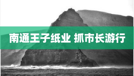 南通王子纸业 抓市长游行