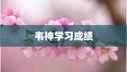 韦神学习成绩