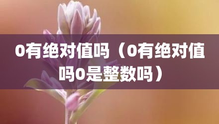 0有绝对值吗（0有绝对值吗0是整数吗）