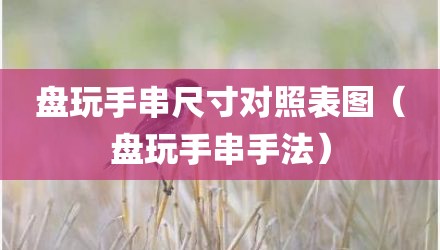 盘玩手串尺寸对照表图(盘玩手串手法)