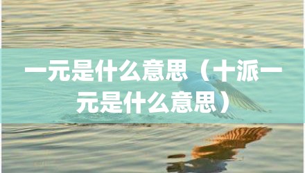 一元是什么意思（十派一元是什么意思）