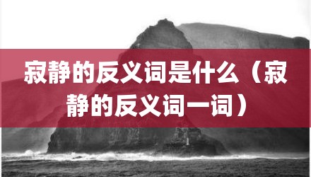 寂静的反义词是什么（寂静的反义词一词）